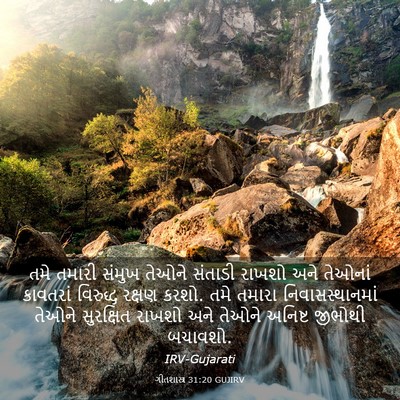 Picture 03 - ગીતશાસ્ત્ર 31:20 GUJIRV - તમે તમારી સંમુખ - Bible Verse Picture
