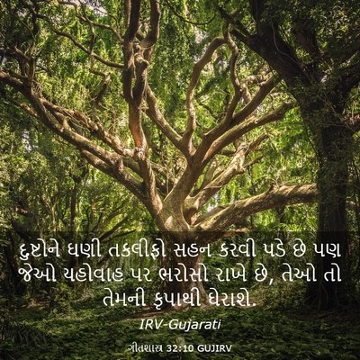 Picture 03 - ગીતશાસ્ત્ર 32:10 GUJIRV - દુષ્ટોને ઘણી - Bible Verse Picture