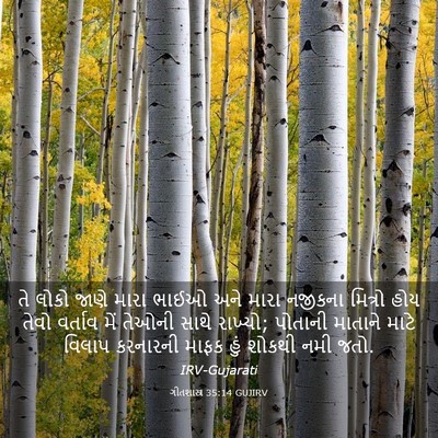 Picture 03 - ગીતશાસ્ત્ર 35:14 GUJIRV - તે લોકો જાણે મારા - Bible Verse Picture
