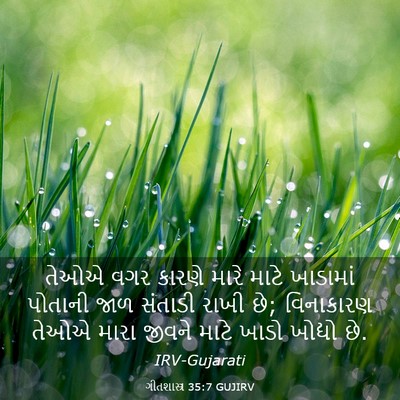Picture 03 - ગીતશાસ્ત્ર 35:7 GUJIRV - તેઓએ વગર કારણે - Bible Verse Picture