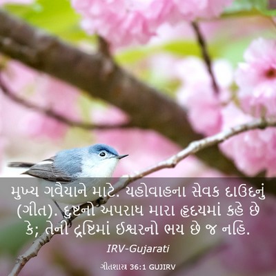 Picture 03 - ગીતશાસ્ત્ર 36:1 GUJIRV - મુખ્ય ગવૈયાને - Bible Verse Picture