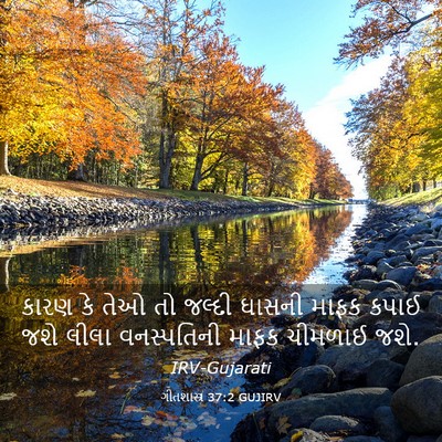 Picture 03 - ગીતશાસ્ત્ર 37:2 GUJIRV - કારણ કે તેઓ તો - Bible Verse Picture