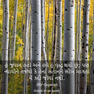 Picture 03 - ગીતશાસ્ત્ર 37:25 GUJIRV - હું જુવાન હતો અને - Bible Verse Picture
