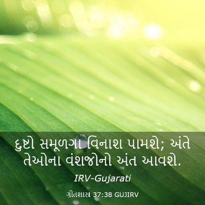 Picture 03 - ગીતશાસ્ત્ર 37:38 GUJIRV - દુષ્ટો સમૂળગા - Bible Verse Picture