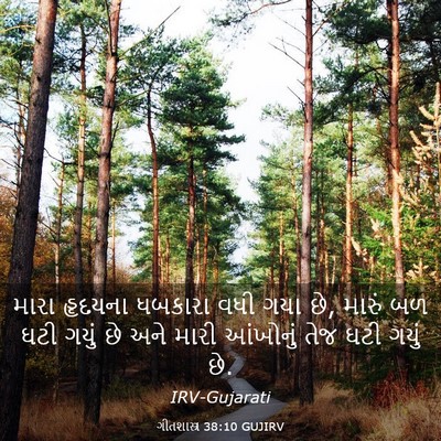 Picture 03 - ગીતશાસ્ત્ર 38:10 GUJIRV - મારા હૃદયના - Bible Verse Picture