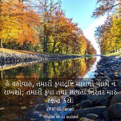 Picture 03 - ગીતશાસ્ત્ર 40:11 GUJIRV - હે યહોવાહ, તમારી - Bible Verse Picture