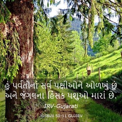 Picture 03 - ગીતશાસ્ત્ર 50:11 GUJIRV - હું પર્વતોનાં - Bible Verse Picture