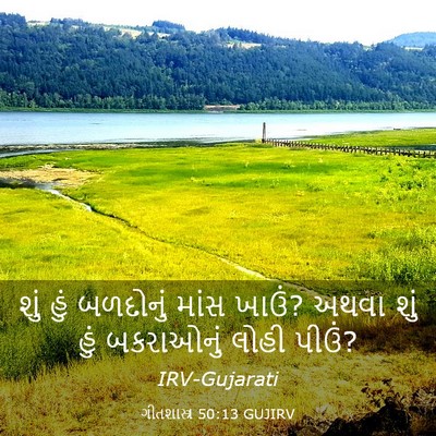 Picture 03 - ગીતશાસ્ત્ર 50:13 GUJIRV - શું હું બળદોનું - Bible Verse Picture