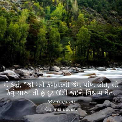 Picture 03 - ગીતશાસ્ત્ર 55:6 GUJIRV - મેં કહ્યું, “જો મને - Bible Verse Picture