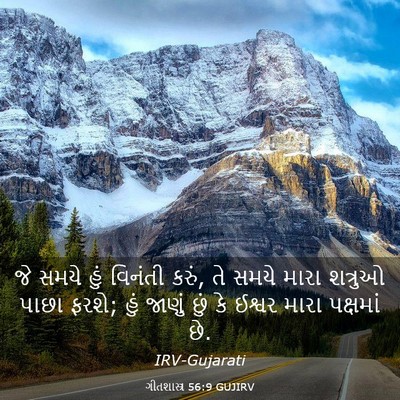 Picture 03 - ગીતશાસ્ત્ર 56:9 GUJIRV - જે સમયે હું વિનંતી - Bible Verse Picture