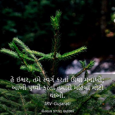 Picture 03 - ગીતશાસ્ત્ર 57:11 GUJIRV - હે ઈશ્વર, તમે - Bible Verse Picture