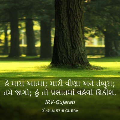 Picture 03 - ગીતશાસ્ત્ર 57:8 GUJIRV - હે મારા આત્મા; મારી - Bible Verse Picture