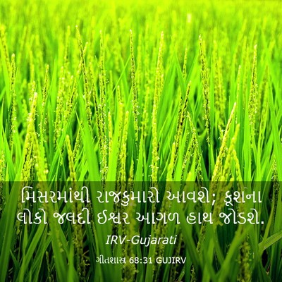 Picture 03 - ગીતશાસ્ત્ર 68:31 GUJIRV - મિસરમાંથી - Bible Verse Picture
