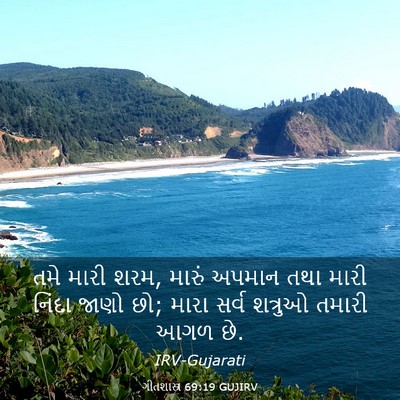 Picture 03 - ગીતશાસ્ત્ર 69:19 GUJIRV - તમે મારી શરમ, મારું - Bible Verse Picture