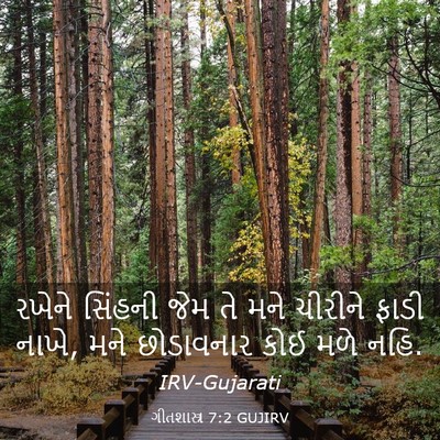 Picture 03 - ગીતશાસ્ત્ર 7:2 GUJIRV - રખેને સિંહની જેમ - Bible Verse Picture