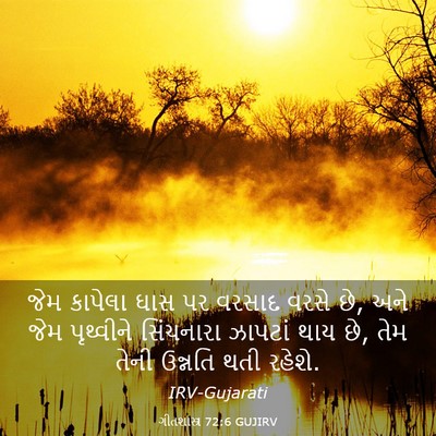 Picture 03 - ગીતશાસ્ત્ર 72:6 GUJIRV - જેમ કાપેલા ઘાસ પર - Bible Verse Picture