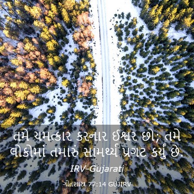 Picture 03 - ગીતશાસ્ત્ર 77:14 GUJIRV - તમે ચમત્કાર કરનાર - Bible Verse Picture