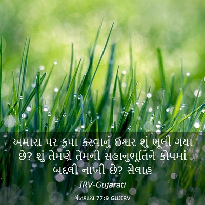 Picture 03 - ગીતશાસ્ત્ર 77:9 GUJIRV - અમારા પર કૃપા - Bible Verse Picture