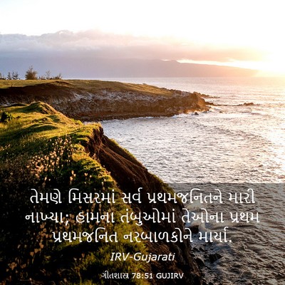 Picture 03 - ગીતશાસ્ત્ર 78:51 GUJIRV - તેમણે મિસરમાં - Bible Verse Picture