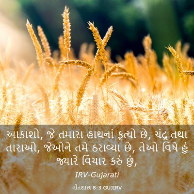 Picture 03 - ગીતશાસ્ત્ર 8:3 GUJIRV - આકાશો, જે તમારા - Bible Verse Picture