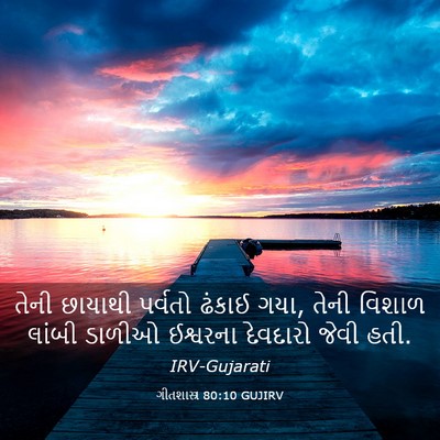 Picture 03 - ગીતશાસ્ત્ર 80:10 GUJIRV - તેની છાયાથી - Bible Verse Picture