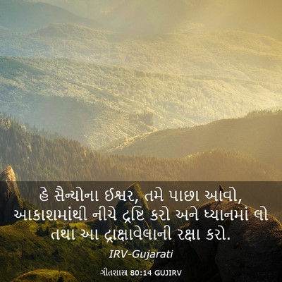 Picture 03 - ગીતશાસ્ત્ર 80:14 GUJIRV - હે સૈન્યોના ઈશ્વર, - Bible Verse Picture