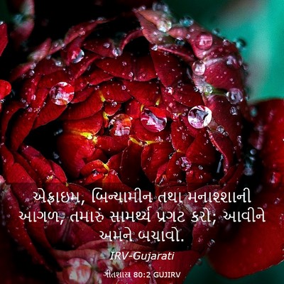 Picture 03 - ગીતશાસ્ત્ર 80:2 GUJIRV - એફ્રાઇમ, - Bible Verse Picture