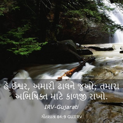 Picture 03 - ગીતશાસ્ત્ર 84:9 GUJIRV - હે ઈશ્વર, અમારી - Bible Verse Picture