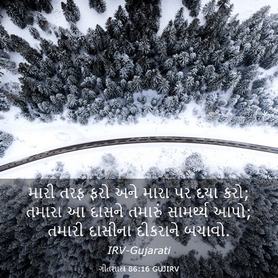 Picture 03 - ગીતશાસ્ત્ર 86:16 GUJIRV - મારી તરફ ફરો અને - Bible Verse Picture