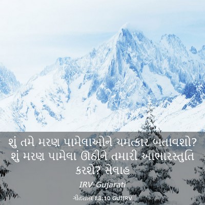 Picture 03 - ગીતશાસ્ત્ર 88:10 GUJIRV - શું તમે મરણ - Bible Verse Picture