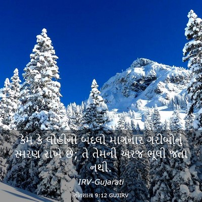 Picture 03 - ગીતશાસ્ત્ર 9:12 GUJIRV - કેમ કે લોહીનો બદલો - Bible Verse Picture