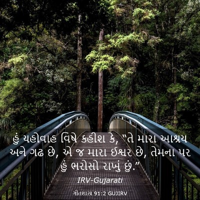 Picture 03 - ગીતશાસ્ત્ર 91:2 GUJIRV - હું યહોવાહ વિષે - Bible Verse Picture