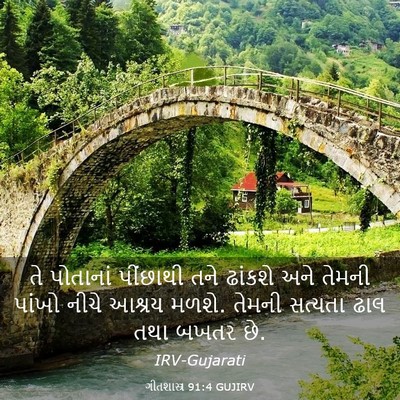 Picture 03 - ગીતશાસ્ત્ર 91:4 GUJIRV - તે પોતાનાં - Bible Verse Picture