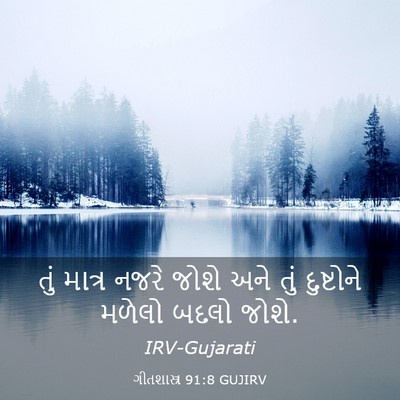 Picture 03 - ગીતશાસ્ત્ર 91:8 GUJIRV - તું માત્ર નજરે - Bible Verse Picture