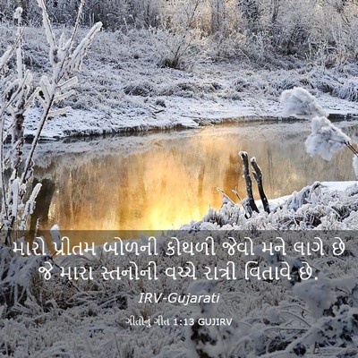 Picture 03 - ગીતોનું ગીત 1:13 GUJIRV - મારો પ્રીતમ બોળની - Bible Verse Picture
