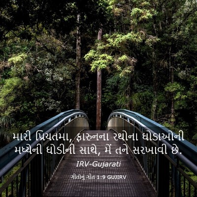 Picture 03 - ગીતોનું ગીત 1:9 GUJIRV - મારી પ્રિયતમા, - Bible Verse Picture