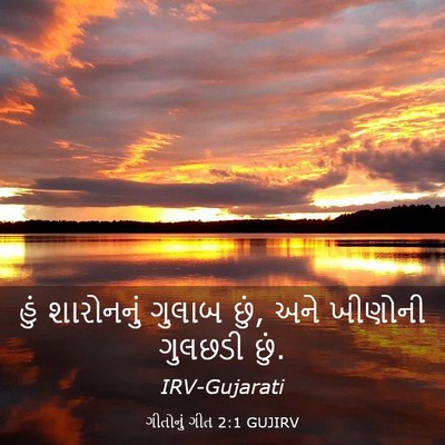 Picture 03 - ગીતોનું ગીત 2:1 GUJIRV - હું શારોનનું - Bible Verse Picture