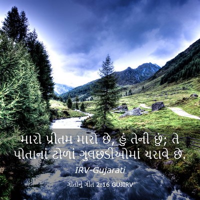 Picture 03 - ગીતોનું ગીત 2:16 GUJIRV - મારો પ્રીતમ મારો - Bible Verse Picture