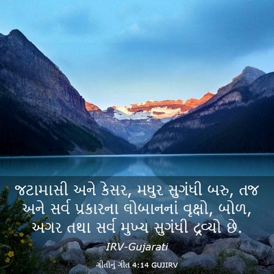 Picture 03 - ગીતોનું ગીત 4:14 GUJIRV - જટામાસી અને કેસર, - Bible Verse Picture