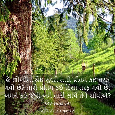 Picture 03 - ગીતોનું ગીત 6:1 GUJIRV - હે સ્ત્રીઓમાં - Bible Verse Picture