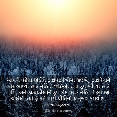 Picture 03 - ગીતોનું ગીત 7:12 GUJIRV - આપણે વહેલા ઊઠીને - Bible Verse Picture