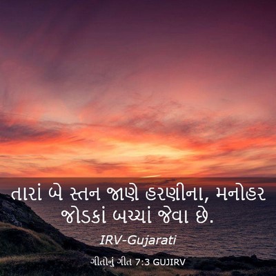 Picture 03 - ગીતોનું ગીત 7:3 GUJIRV - તારાં બે સ્તન જાણે - Bible Verse Picture