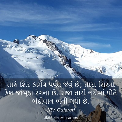 Picture 03 - ગીતોનું ગીત 7:5 GUJIRV - તારું શિર કાર્મેલ - Bible Verse Picture