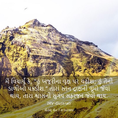 Picture 03 - ગીતોનું ગીત 7:8 GUJIRV - મેં વિચાર્યું કે, - Bible Verse Picture