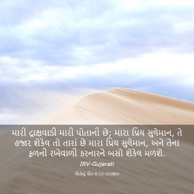 Picture 03 - ગીતોનું ગીત 8:12 GUJIRV - મારી દ્રાક્ષવાડી - Bible Verse Picture