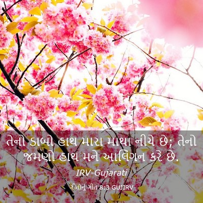 Picture 03 - ગીતોનું ગીત 8:3 GUJIRV - તેનો ડાબો હાથ મારા - Bible Verse Picture
