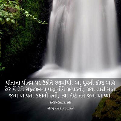 Picture 03 - ગીતોનું ગીત 8:5 GUJIRV - પોતાના પ્રીતમ પર - Bible Verse Picture