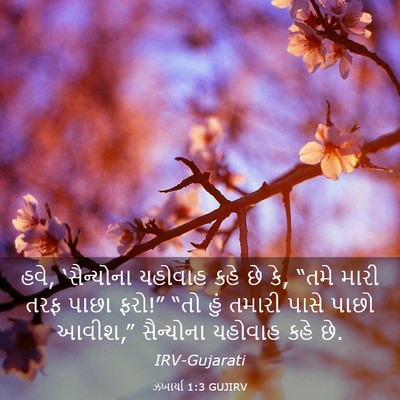 Picture 03 - ઝખાર્યા 1:3 GUJIRV - હવે, ‘સૈન્યોના - Bible Verse Picture