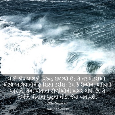 Picture 03 - ઝખાર્યા 10:3 GUJIRV - મારો કોપ પાળકો - Bible Verse Picture