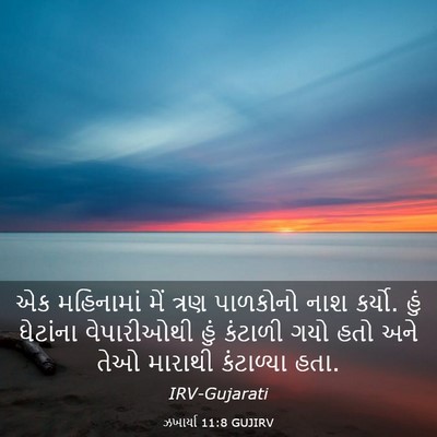 Picture 03 - ઝખાર્યા 11:8 GUJIRV - એક મહિનામાં મેં - Bible Verse Picture